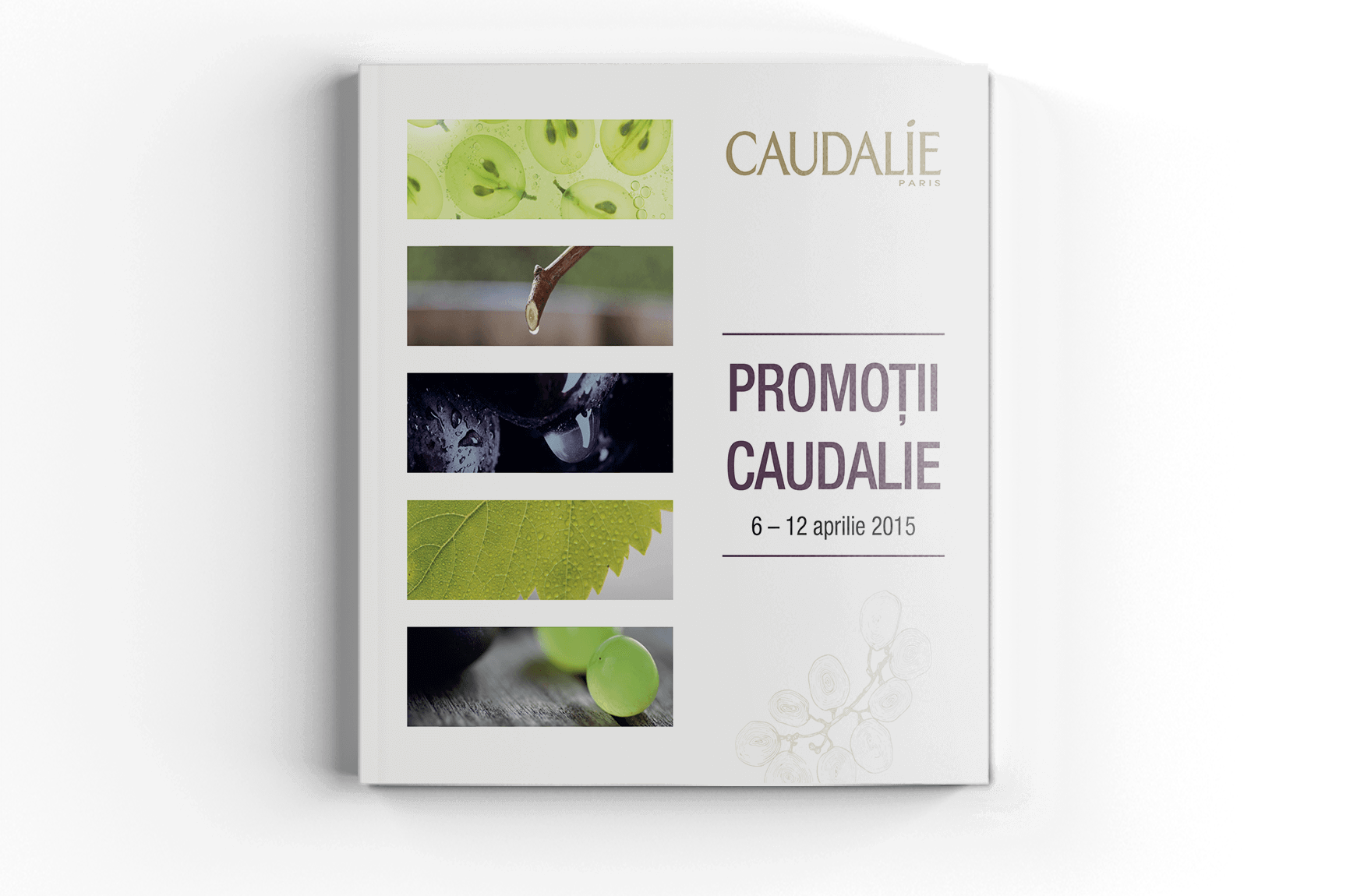 Caudalie Dermo Analysis