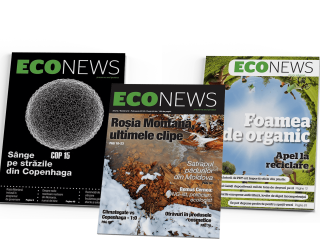 Econews - Ecology MAGAZINE